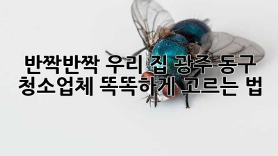 ✨ 반짝반짝 우리 집! 광주 동구 청소업체 똑똑하게 고르는 법 🏡